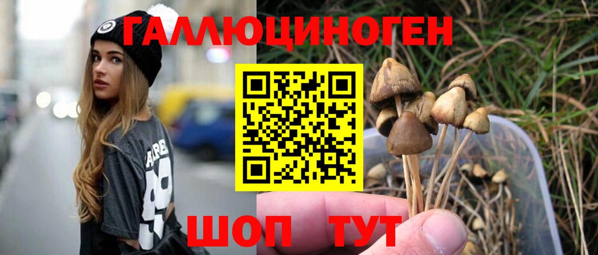 Галлюциногенные грибы MAGIC MUSHROOMS Фрязино